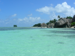seychelle Denis island